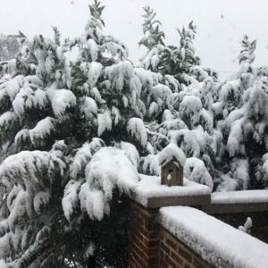 Meet your Posher, Karen